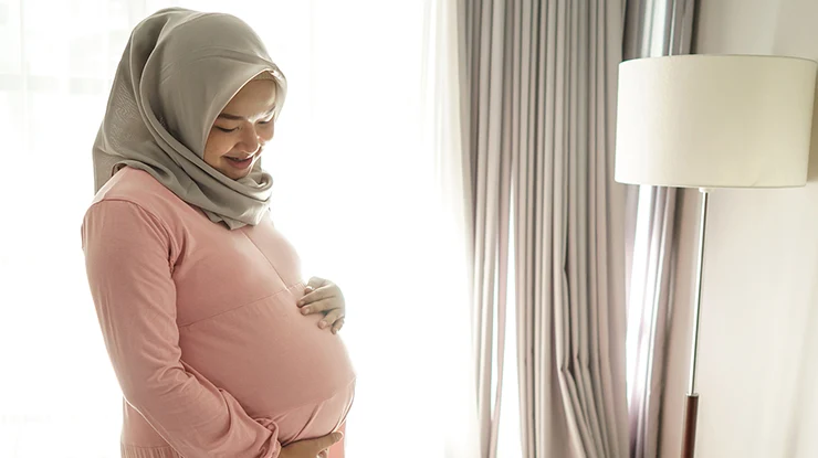 Bantuan Ibu Mengandung